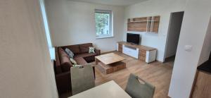 TV a/nebo společenská místnost v ubytování apartmány MAJKA