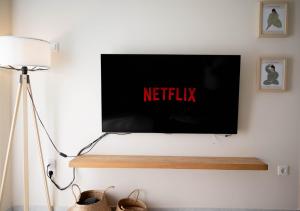 TV a/nebo společenská místnost v ubytování La bohème