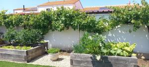 La ChaumeにあるVilla des Huniers à La Chaumeの植物が植わる2段高いベッドのある庭園