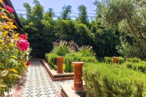 Zahrada ubytování Dar Zarrouk - Eco Lodge Briech Assilah + 19 fotografií