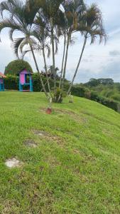 Ảnh trong thư viện ảnh của Monaco ở Quimbaya