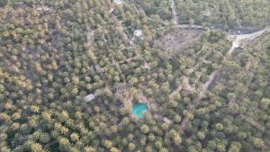 托泽尔VIP Coco Oasis Villa的一片森林与蓝色湖泊的鸟瞰图