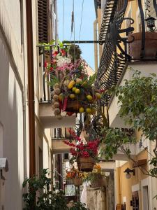 an alley with hanging baskets of fruit and flowers at Via Roma 55 in Lipari +91 photos