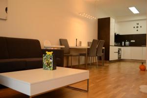 TV a/nebo společenská místnost v ubytování Apartment Medvědín 331/110