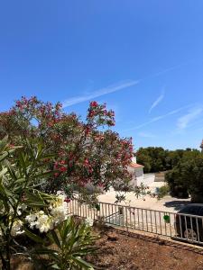 Fotografie z fotogalerie ubytování Vacation Home Palma v destinaci Rukavac