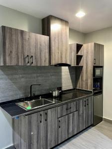 Kuchyň nebo kuchyňský kout v ubytování Alluvia Residences