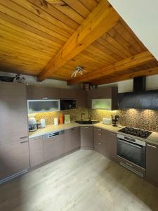 a kitchen with stainless steel appliances and a wooden ceiling at Panorama House Lipno in Jenišov