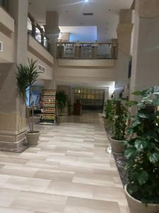 Fotografie z fotogalerie ubytování Kafr Abdo Luxury Home v destinaci Alexandria