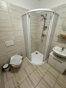 a bathroom with a shower and a toilet and a sink at Formanka Mladějov - Pension 1 in Mladějov
