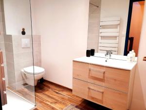 a bathroom with a toilet and a sink at 1 Liberte - TRIPLEX in Saint-Affrique