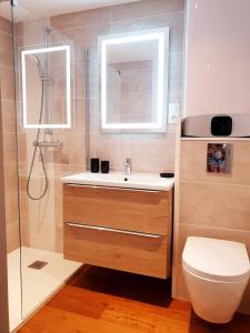 a bathroom with a toilet and a sink and a shower at sadi carnot - 2b duplex in Millau