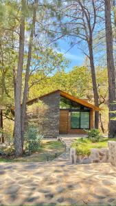 a house in the woods with a tree at Cabaña De Lujo con Jacuzzi a 10 min del Pueblo in Mazamitla