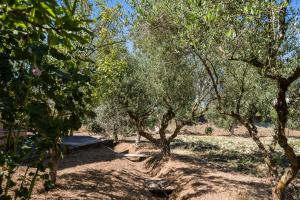 O grădină în afara Corfu Villa Poulos