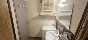 ein Badezimmer mit Waschbecken, Toilette und Spiegel in der Unterkunft Studio cv, parking, plage 5 mn in La Grande-Motte