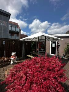 a large pile of red leaves in front of a house at Oasen in Viborg +64 photos