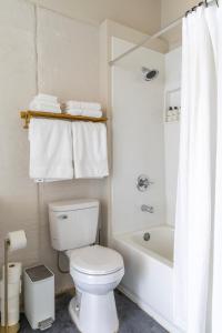 a bathroom with a toilet and a tub and a sink at Casita 1 at The Halles Artisan Venue in Round Top +7 photos