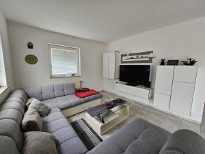a living room with a couch and a tv at Designer apartment in nature in Vojnik