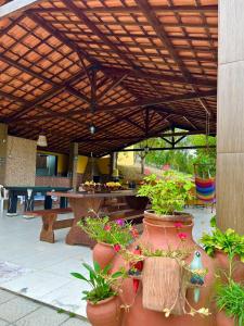 a patio with a bunch of plants in large pots at Pousada Chácara Pau - Brasil in Lagoa Sêca +23 photos