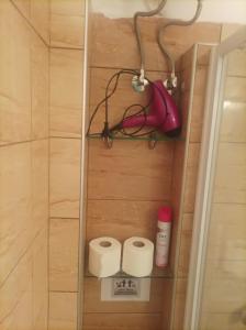a bathroom with two rolls of toilet paper and a pink phone at Κόσμος apartment in Polykhrono +7 photos