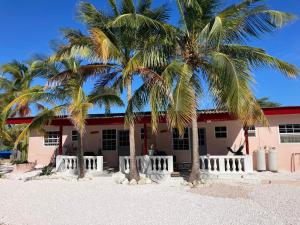 zwei Palmen vor einem rosa Gebäude in der Unterkunft Aquila apartments en studios in Willemstad