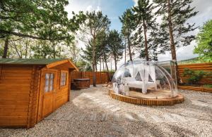 a bed in a glass dome next to a shed at Berenice Glamping in Salitto