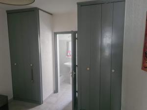 a bathroom with two green cabinets and a sink at appartement indépendant CORTE in Corte