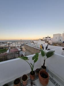 タンジェにあるTangier Medina Riad Sea View and Spainの屋根の上に座る鉢植え