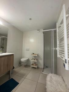 a bathroom with a shower and a toilet and a sink at 2Bedrooms, Thèoule-sur-mer in Théoule-sur-Mer