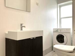 a bathroom with a sink and a washing machine at Spacious Apartment for 5 in Odense