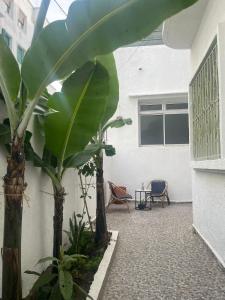 Vrt pred nastanitvijo Syrah Home