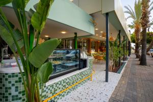 Foto dalla galleria di Cıtrus Plaza Hotel a Alanya