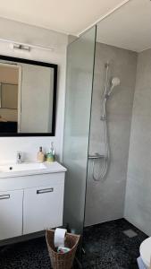 a bathroom with a shower and a sink at Melby-Liseleje-Frederiksværk in Melby +20 photos
