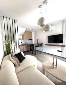 TV a/nebo společenská místnost v ubytování Villa Sevdah - apartments in the city centre, with pool and free parking + 47 fotografií