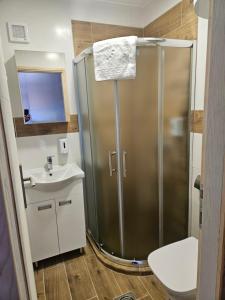 a bathroom with a shower and a sink at Apartments Peka in Dušanovac (historical)