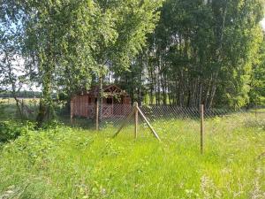 En have udenfor Siucice-Kolonia Młyn