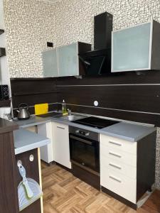 Kuchyňa alebo kuchynka v ubytovaní apartament stare-polesie