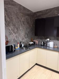 Kuchyň nebo kuchyňský kout v ubytování Apartment Deluxe Gold