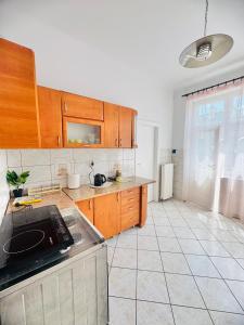 Kuchyň nebo kuchyňský kout v ubytování Apartament Symphonia self check in 24h