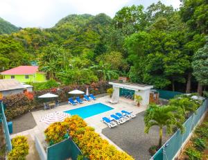 an aerial view of a resort with a swimming pool at Amazon Villas in Soufrière