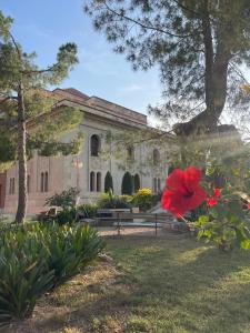 a building with a red flower in front of it at Albergue Rosa Molas in Arrabal de Jesús