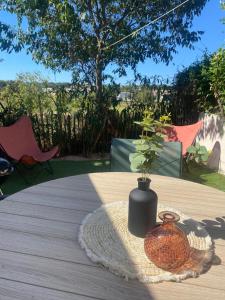 a vase sitting on a table with a plant in it at maison jardin tram,mer 15mn voiture in Saint-Jean-de-Védas