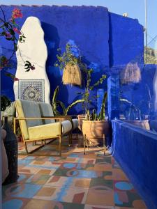 a room with a blue wall with chairs and plants at Casa Amina in Chefchaouene