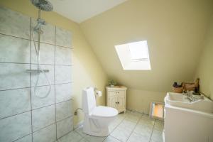 a bathroom with a shower and a toilet and a sink at Mandø Kro in Ribe