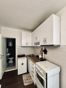 Kuchyň nebo kuchyňský kout v ubytování Villa Flora Apartments Krushevo