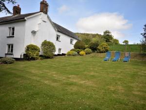 Κήπος έξω από το 2 Bed in Sidmouth BURSC +9 φωτογραφίες