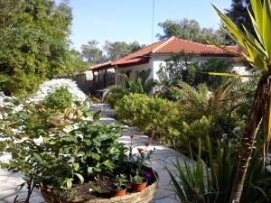 A garden outside Villa Elvira