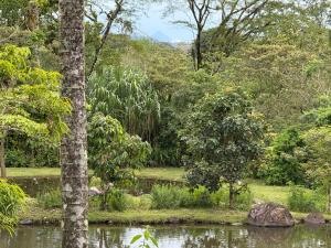 Pokrajina v okolici apartmaja
