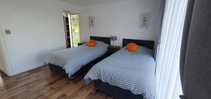 Billede fra billedgalleriet på Alto Los Ángeles i Los Ángeles