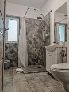 a bathroom with a shower and a toilet and a sink at Freya House Valea Avrigului in Avrig
