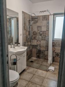 a bathroom with a shower and a sink and a toilet at Freya House Valea Avrigului in Avrig +29 photos